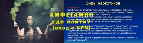 гашик Богданович