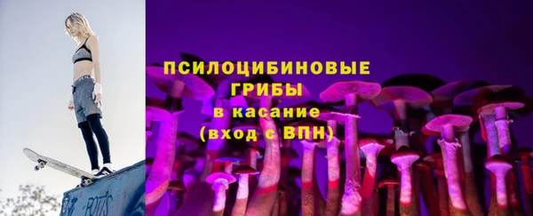 стаф Богородск