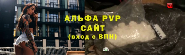 гашик Богданович