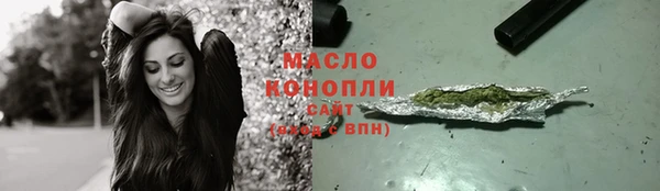 стаф Богородск