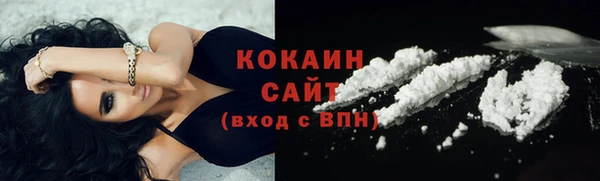mdpv Богородицк