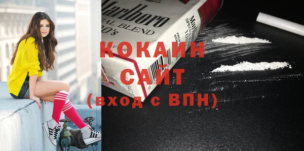 гашик Богданович