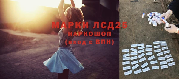 стаф Богородск