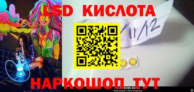 шишки Обь