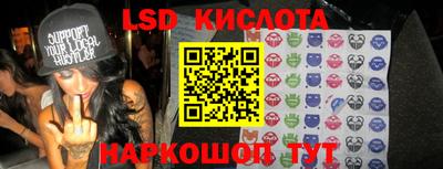шишки Обь