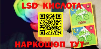 шишки Обь