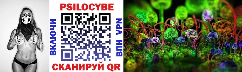 наркошоп  Валуйки  kraken tor  Галлюциногенные грибы MAGIC MUSHROOMS 