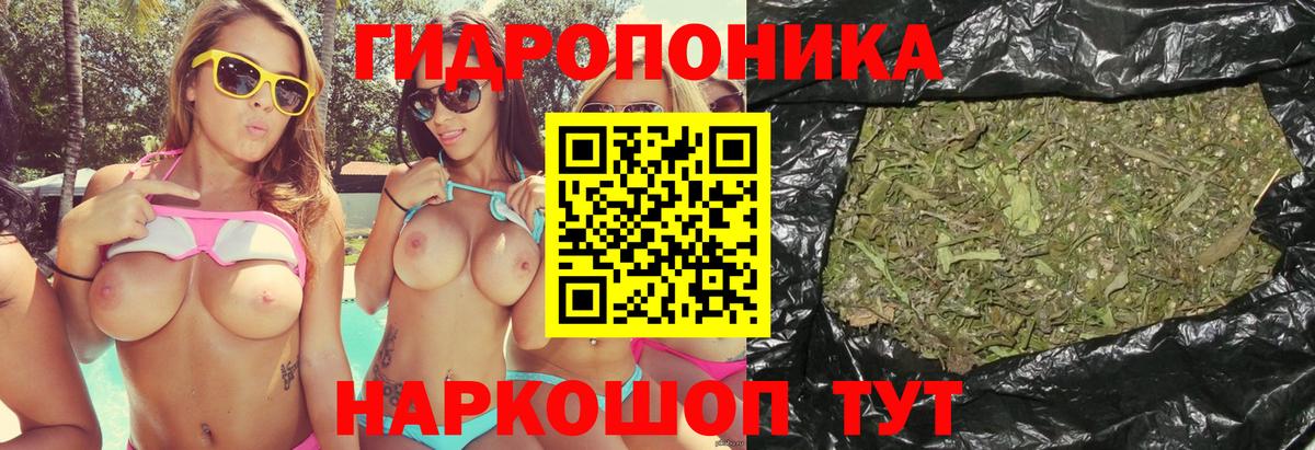 Валуйки  Бошки марихуана тримм  Бошки марихуана план  Вход с VPN 